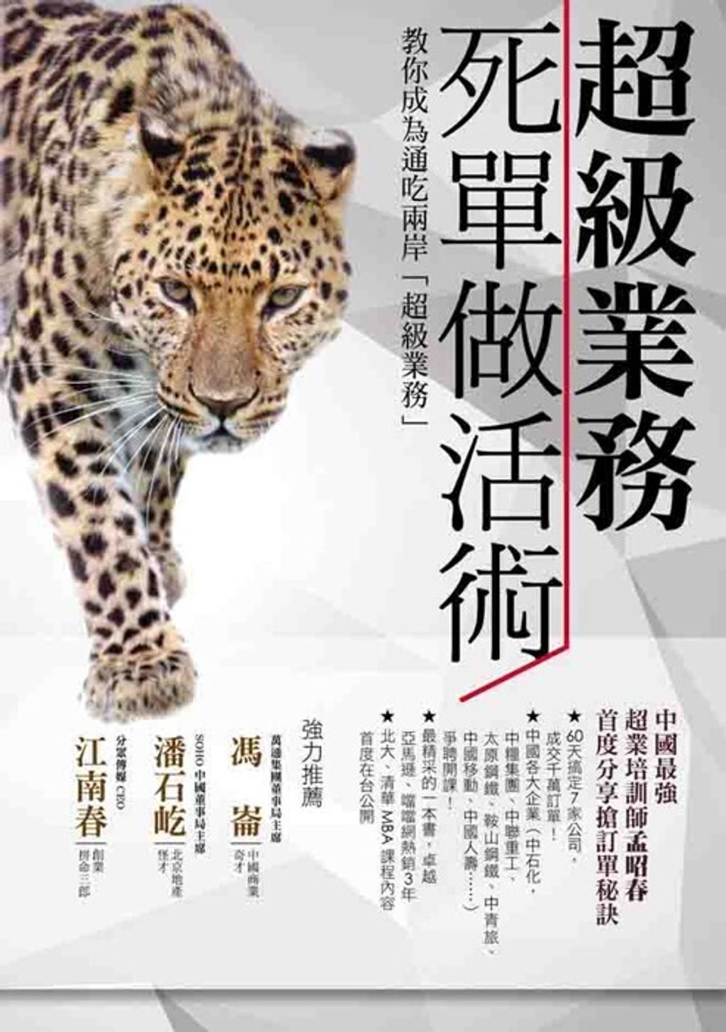 official_book_cover_08847