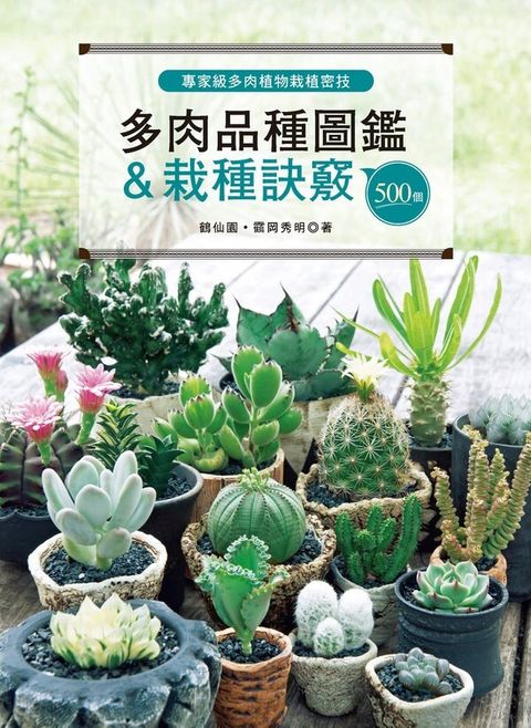 official_book_cover_01894