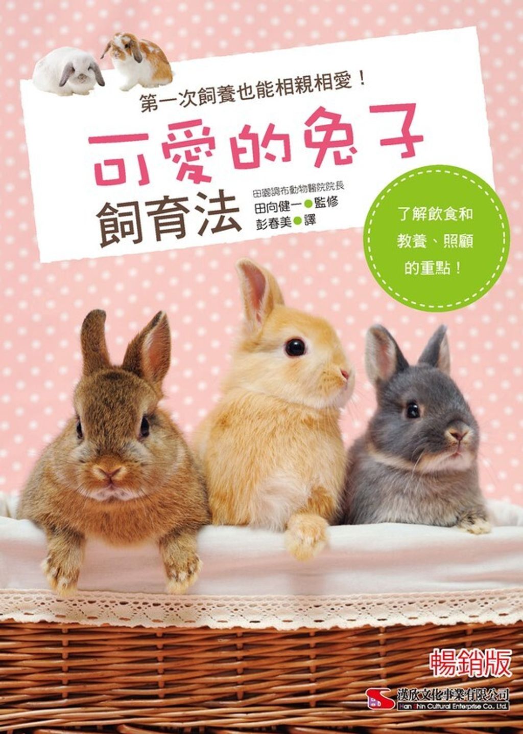 official_book_cover_01965