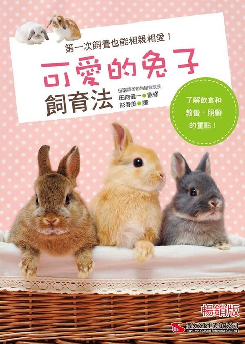official_book_cover_01965