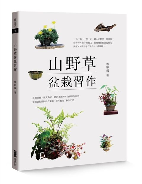 official_book_cover_02349
