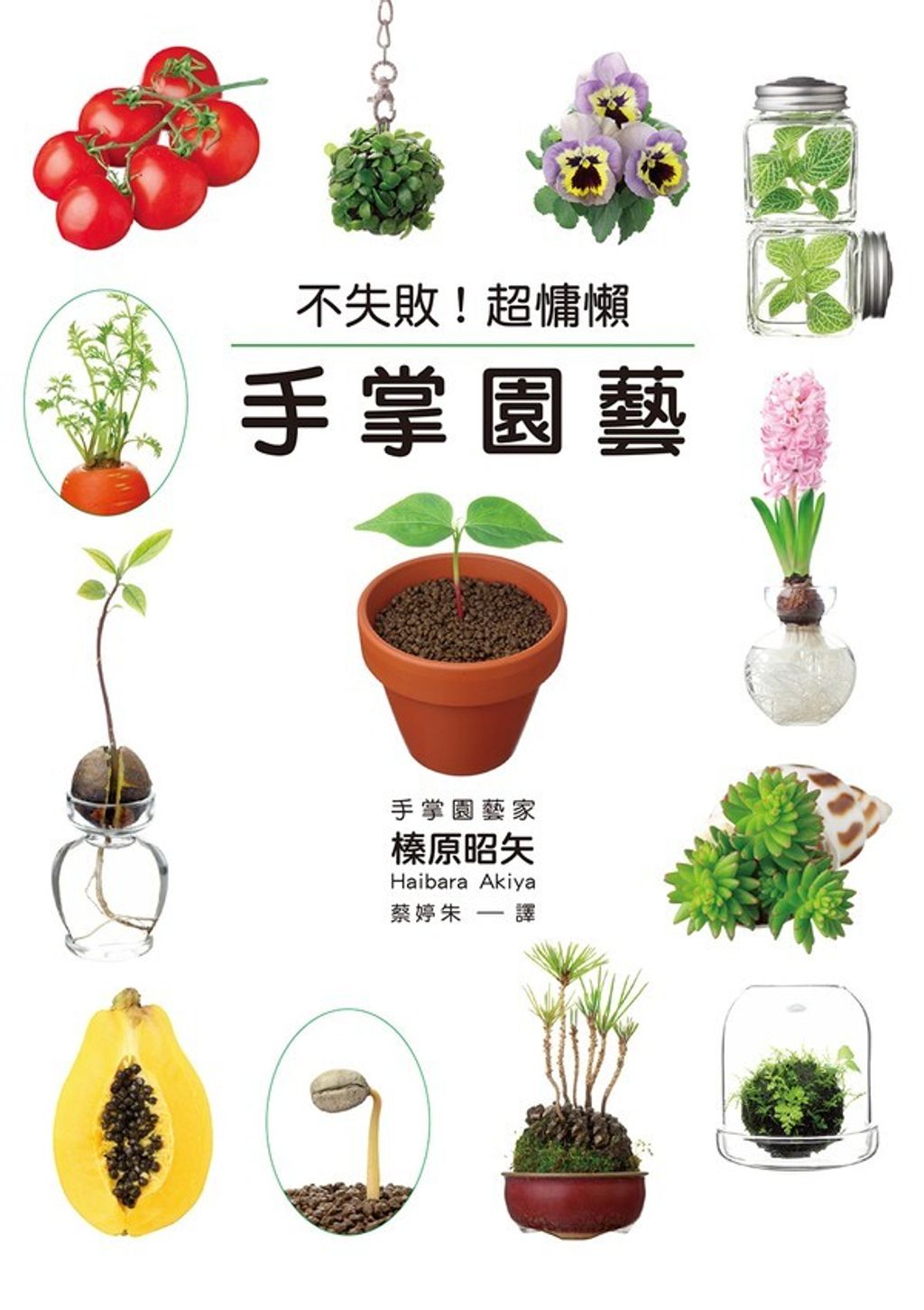 official_book_cover_03838