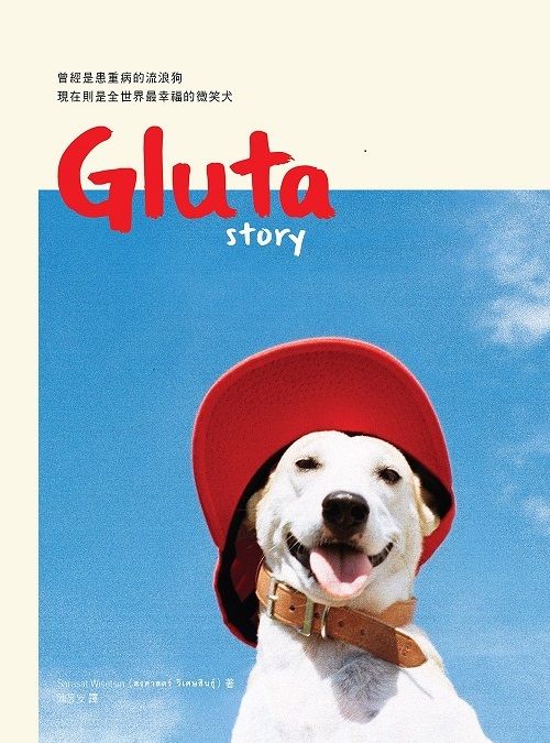 official_book_cover_03911