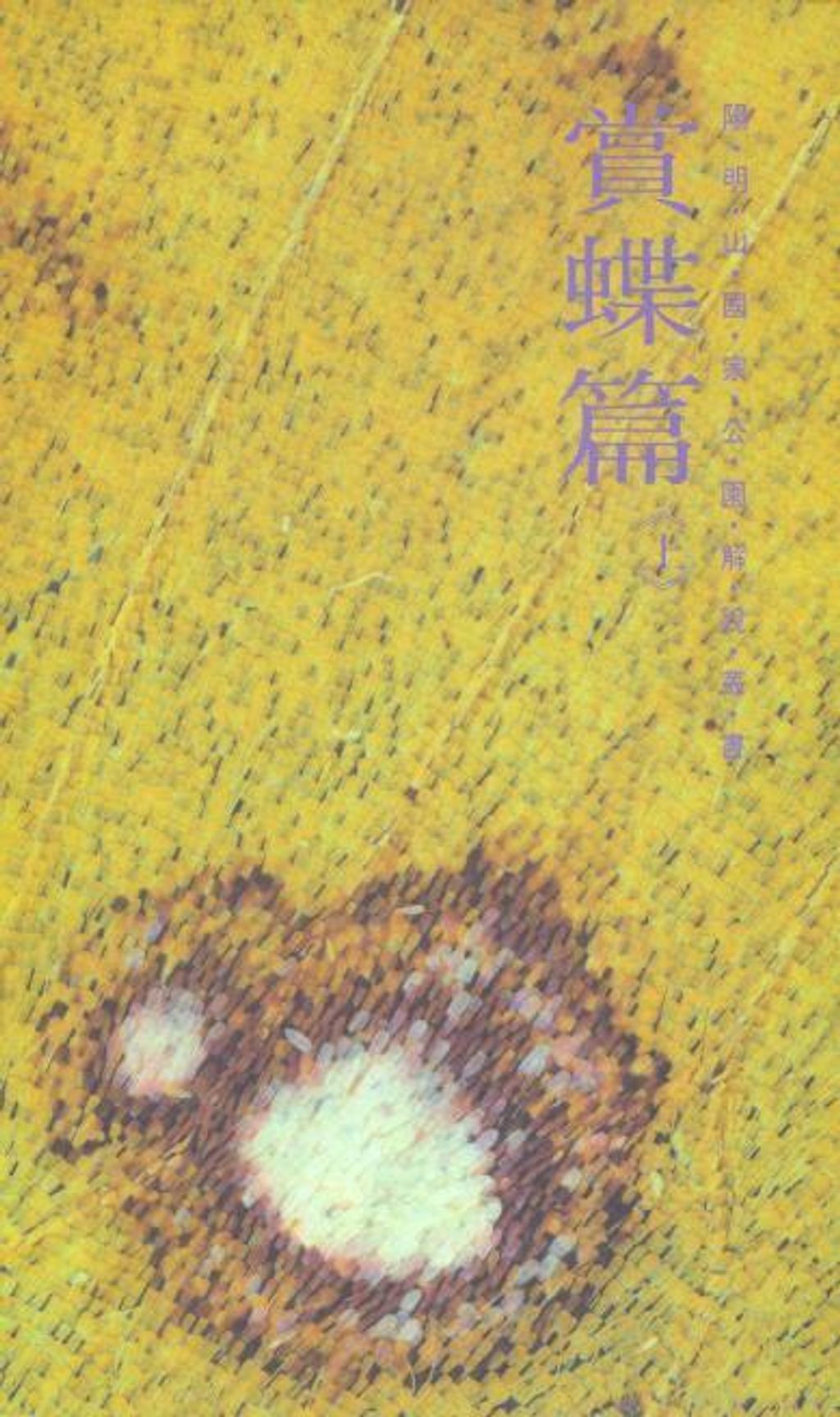 official_book_cover_04095