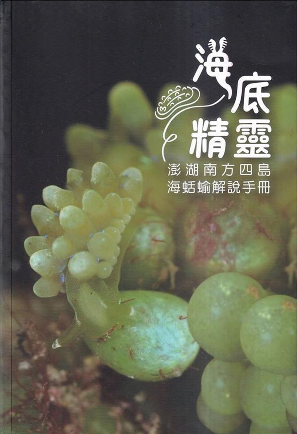 official_book_cover_00286
