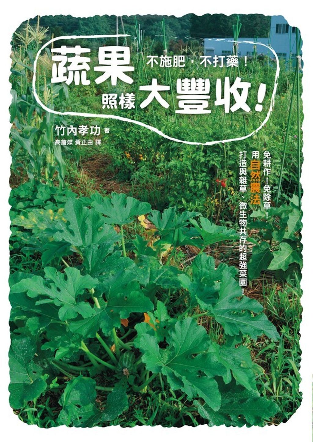 official_book_cover_04603