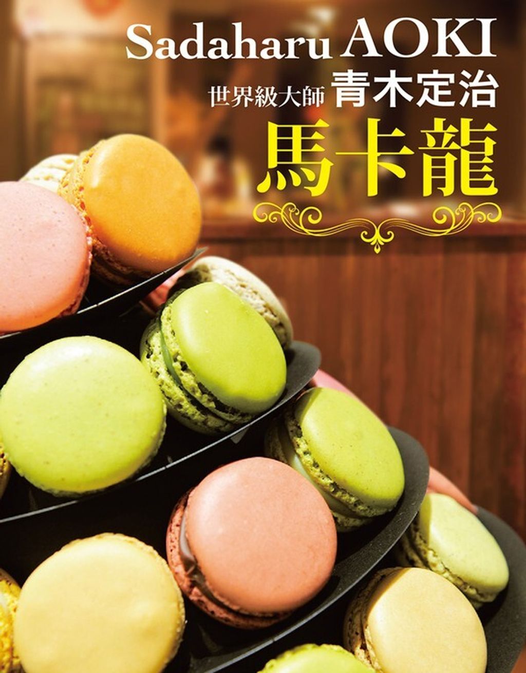 official_book_cover_04629