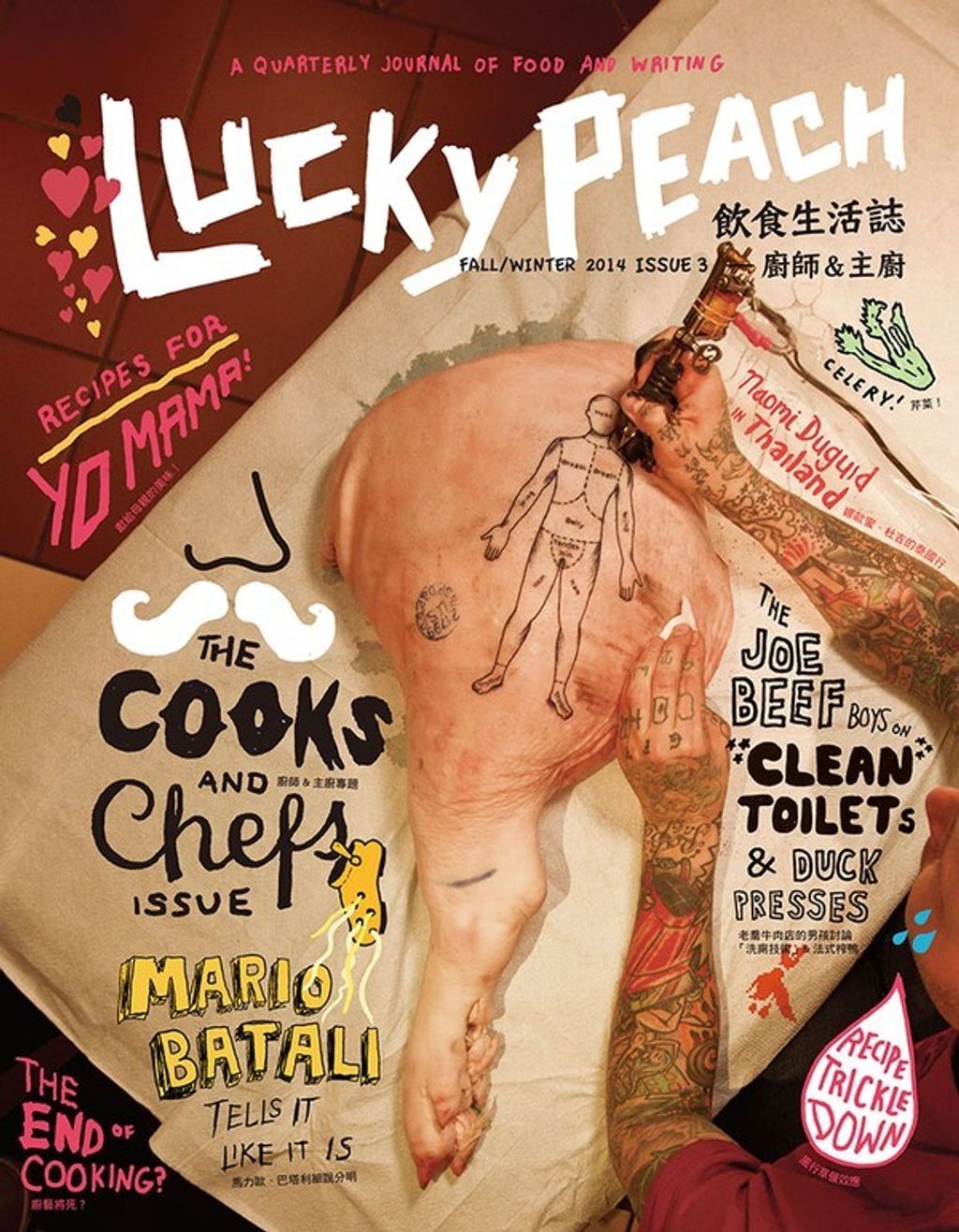official_book_cover_04799