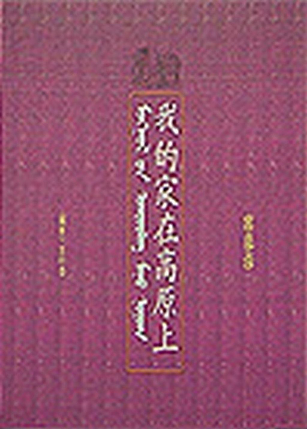 book_cover_9576070252_008627