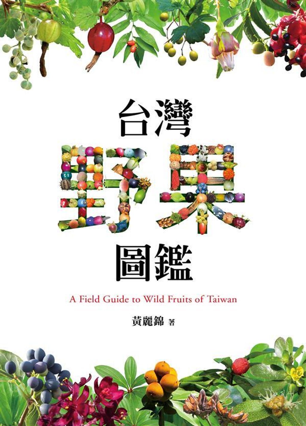book_cover_9789863205722_010029