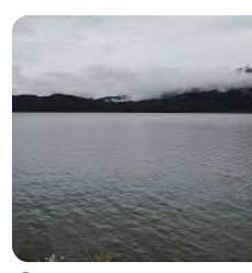 9868269822