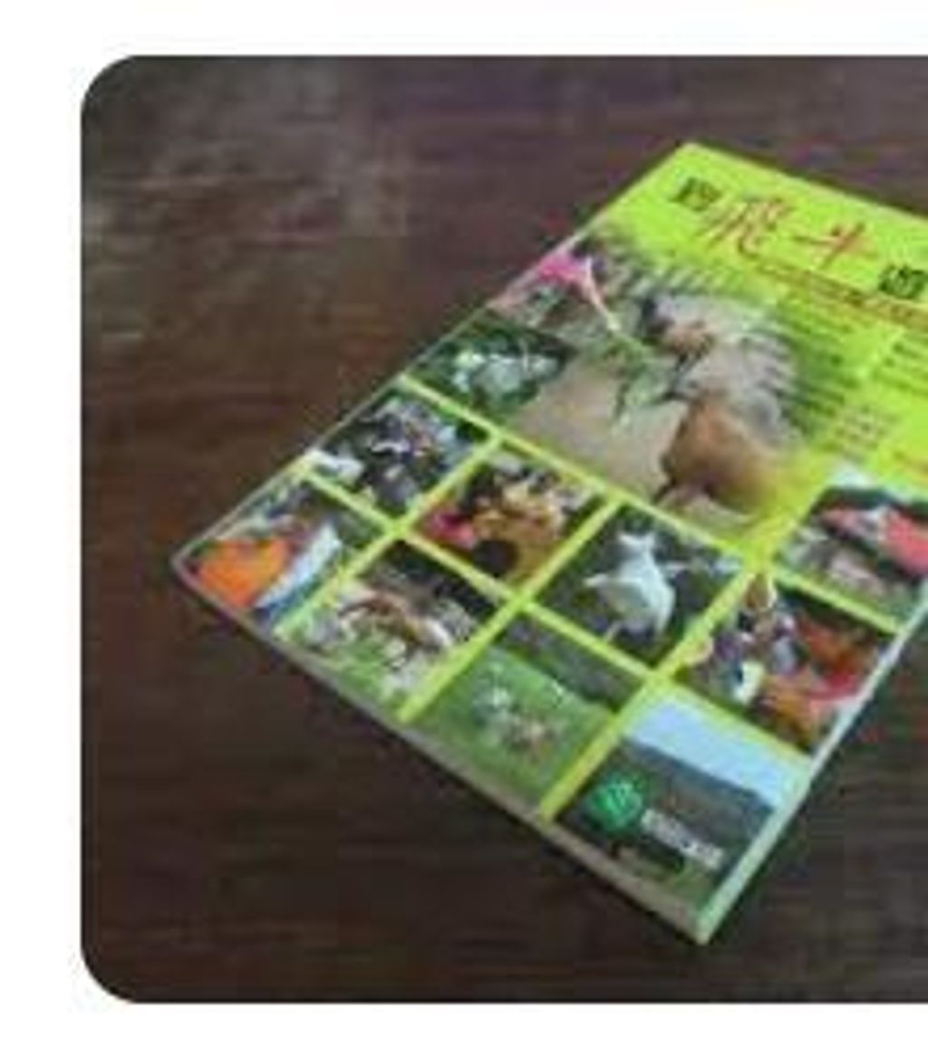 9867248813