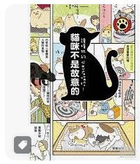 9789861777436