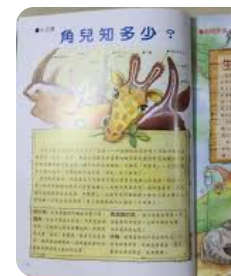 螢幕擷取畫面 2024-04-14 130235