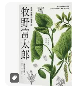 螢幕擷取畫面 2024-04-14 142049