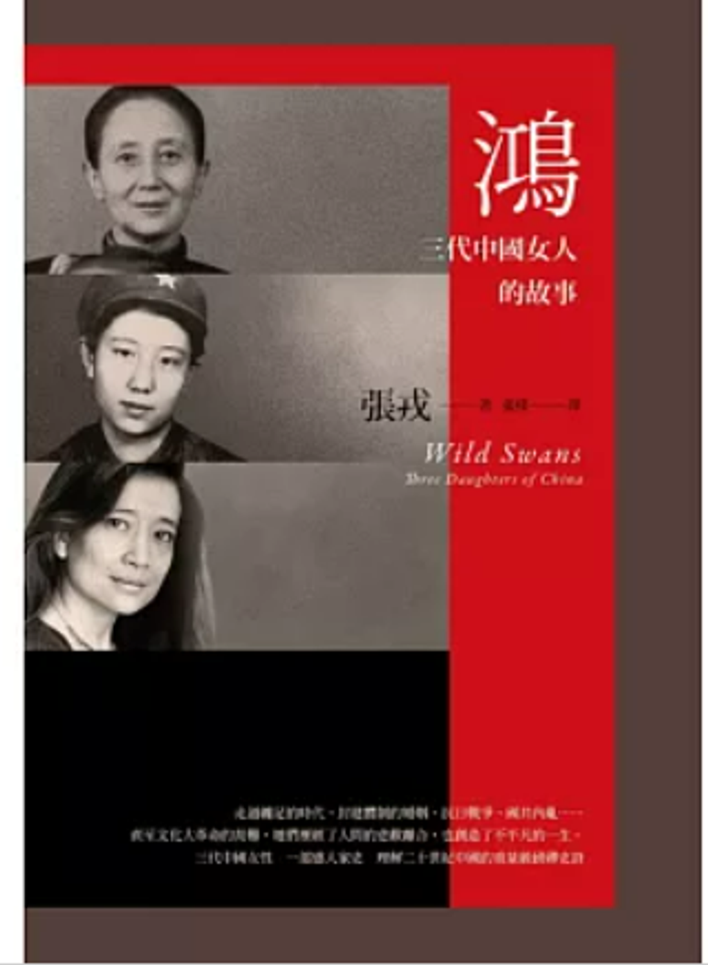 螢幕擷取畫面 2025-05-25 020319