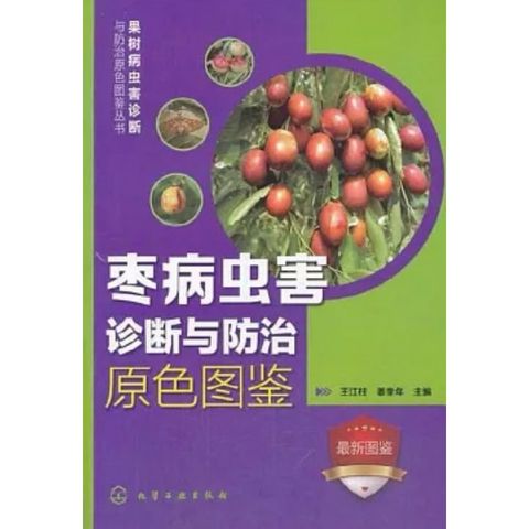 tw-11134207-7ra0i-mbz33hbvvv4yc4