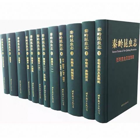 tw-11134207-81ztj-mgx403ien6ry59