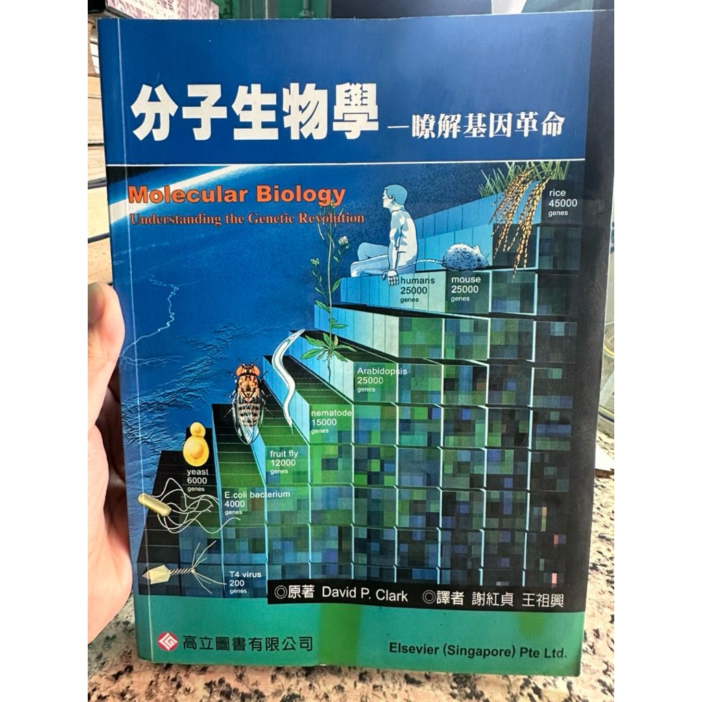 tw-11134207-81ztm-mgt4xhitz02419