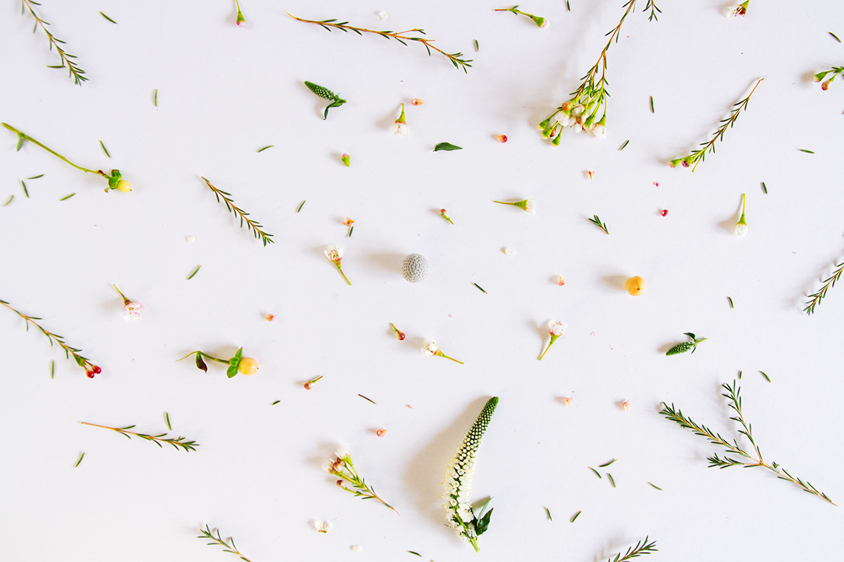 Here's to Love | Sign Up for 10% OFF