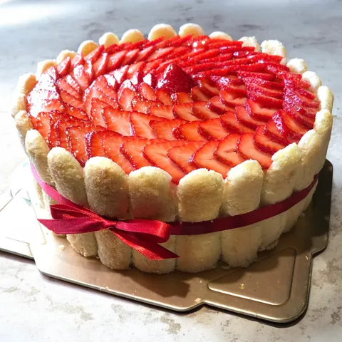 image_324BC462-0E8F-43CC-A78E-7472D33D1B67_1767237962