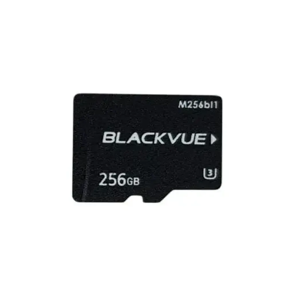 256GB-BlackVue-memory-card-500x500.jpg