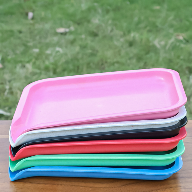 bio tray (3)