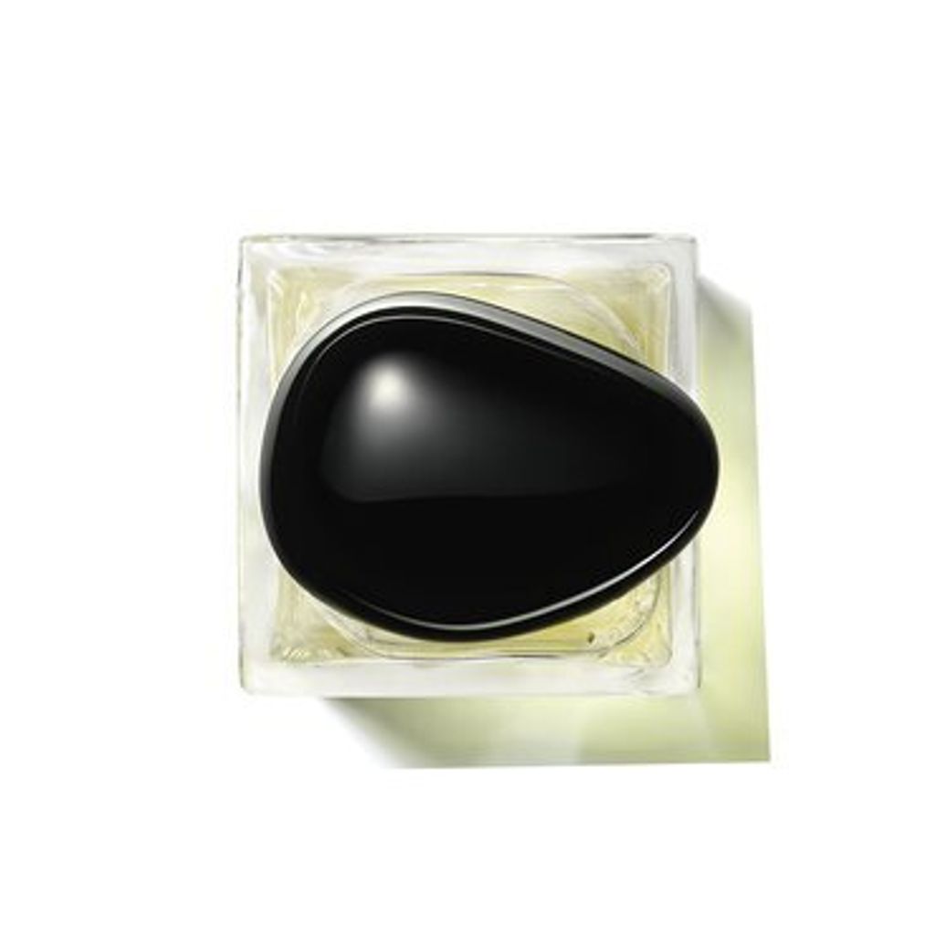 armani-3614272650954-the-yulong-100ml-top-view