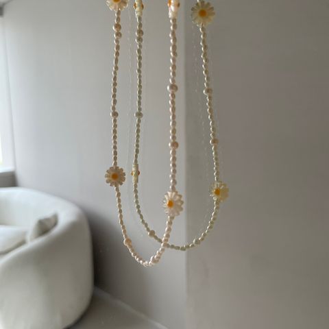 夏日雛菊小花-1