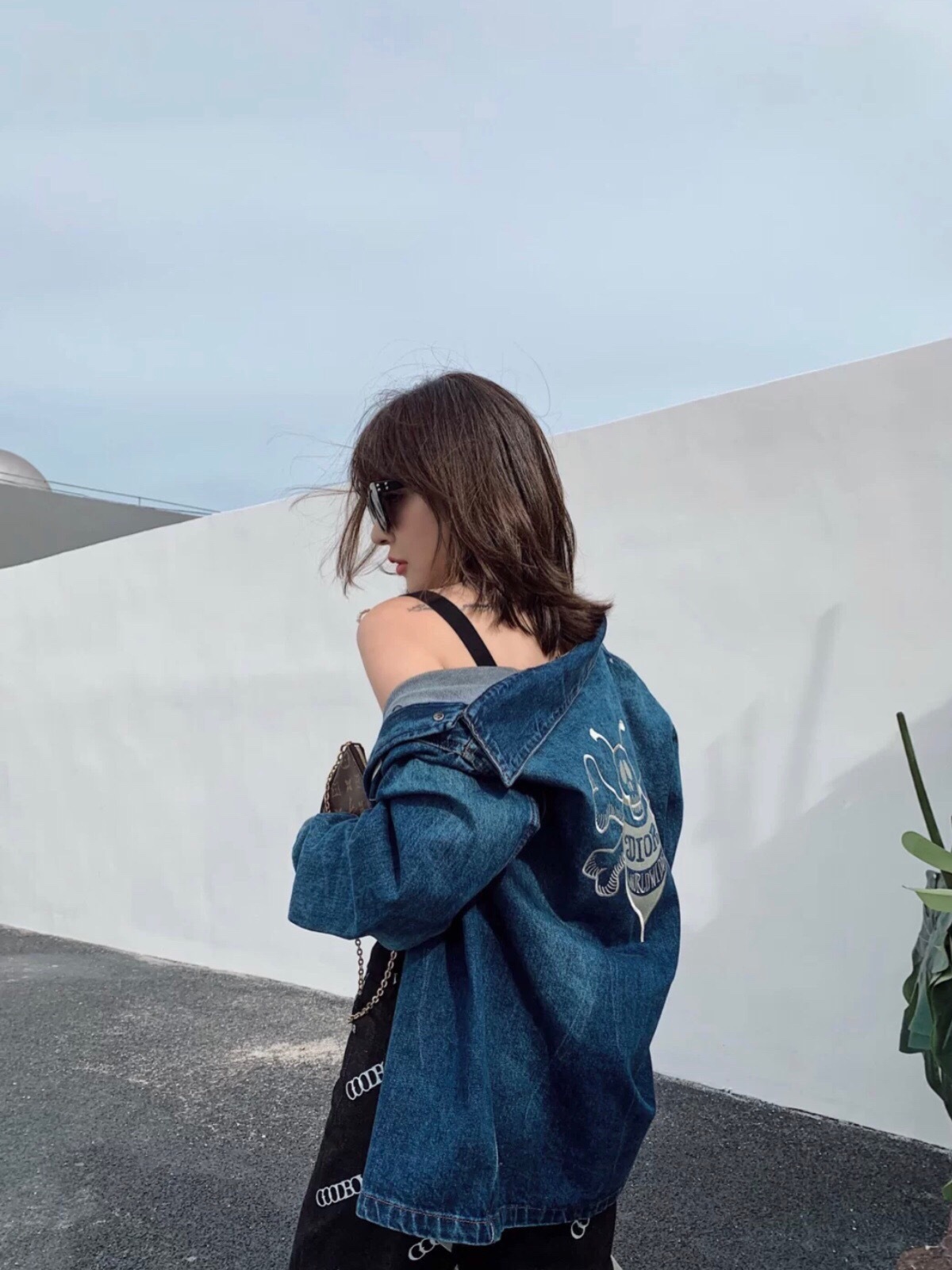 Dior x Shawn Stüssy Denim Bee Jacket – BudgetFlexors