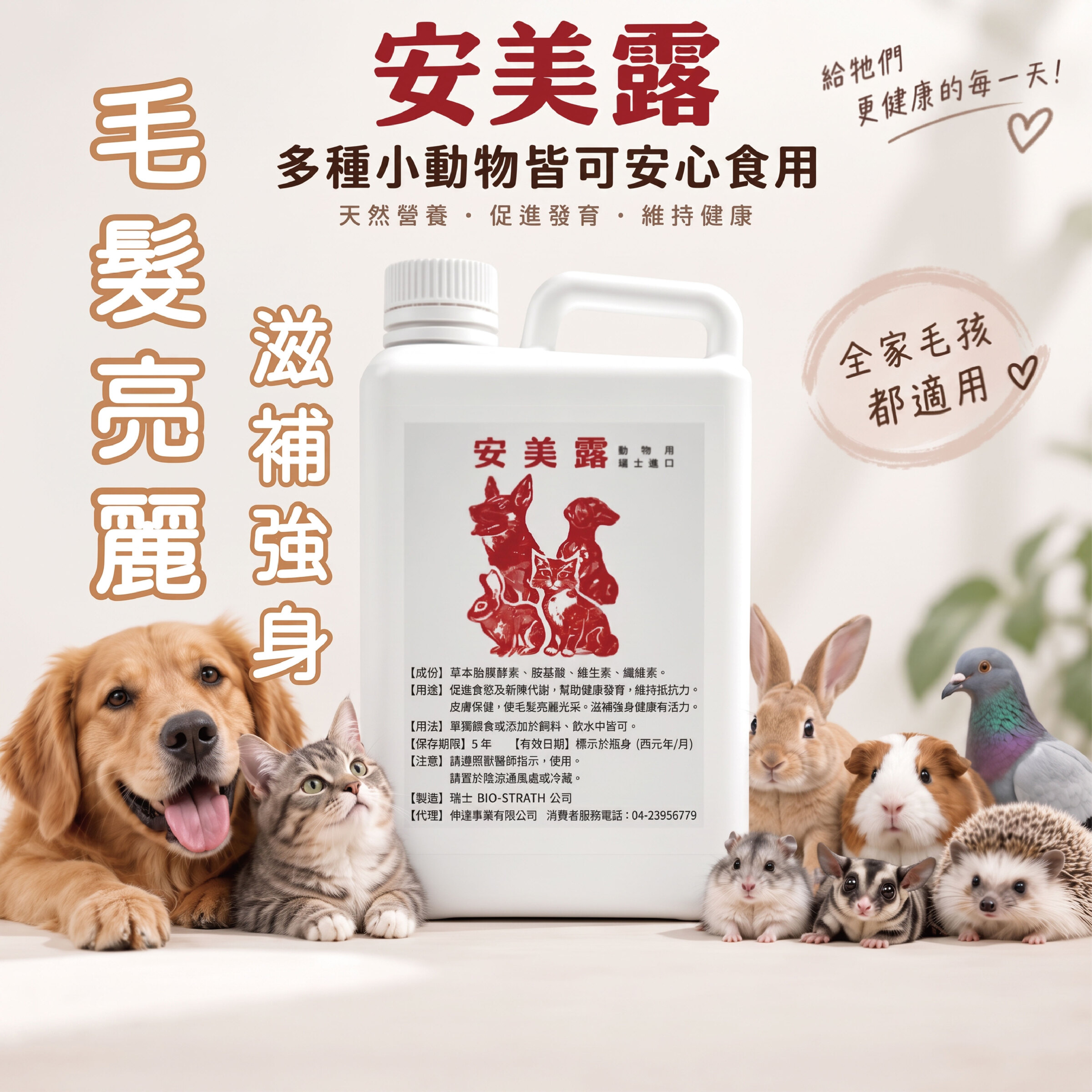 滋補強身
