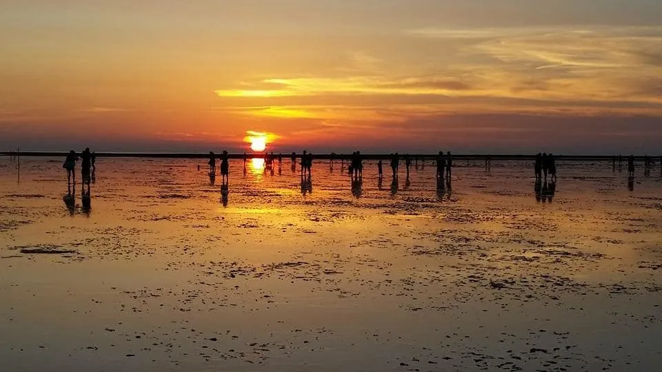 46457861_716195605414938_4114161967545974784_n.jpg 46457861_716195605414938_4114161967545974784_n.jpg