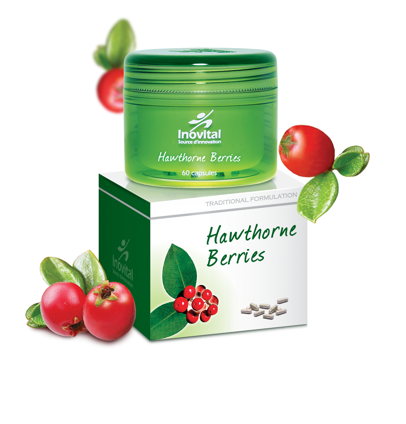 Hawthorn Fruit Dynaircanada