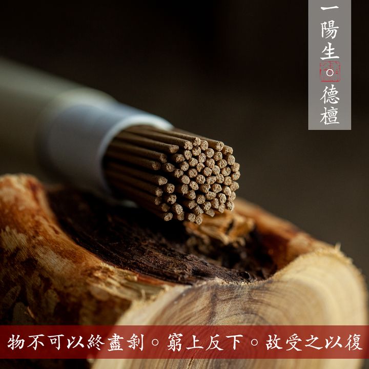 一陽生臥-1