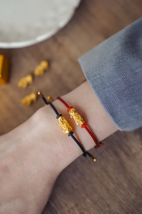 DSC03450-1709659322742