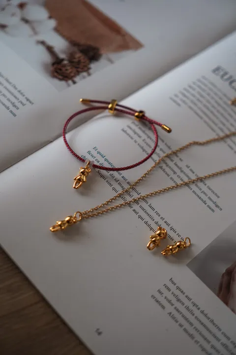 DSC03919-1728729636098