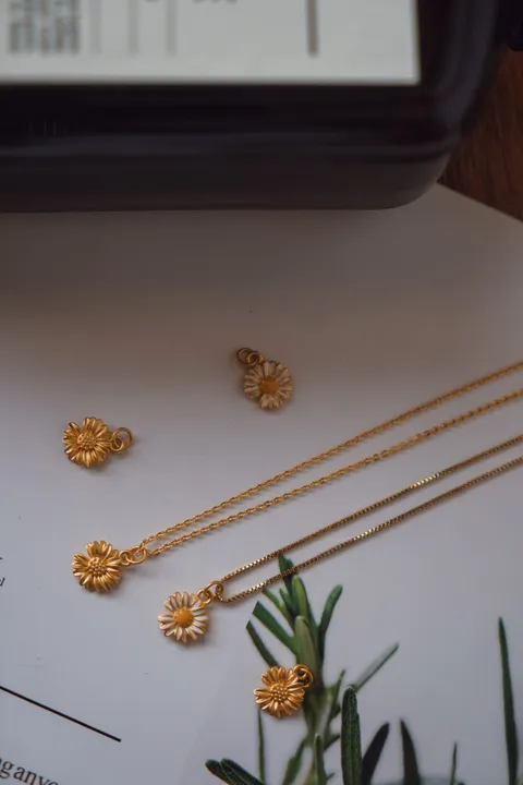 image_2A35384E-4659-493C-B8E0-A1A22F18F48D_1754652889