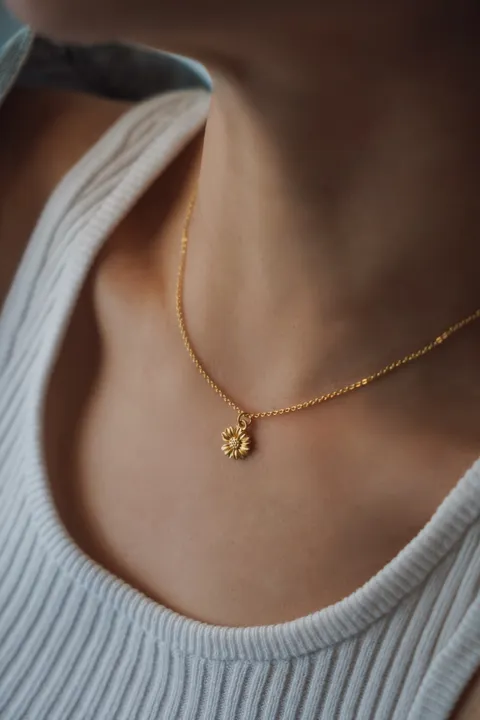 image_D47DEEE5-59A7-427E-A85F-FBF45E480949_1754653454