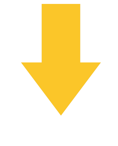 animated-arrow-down.gif