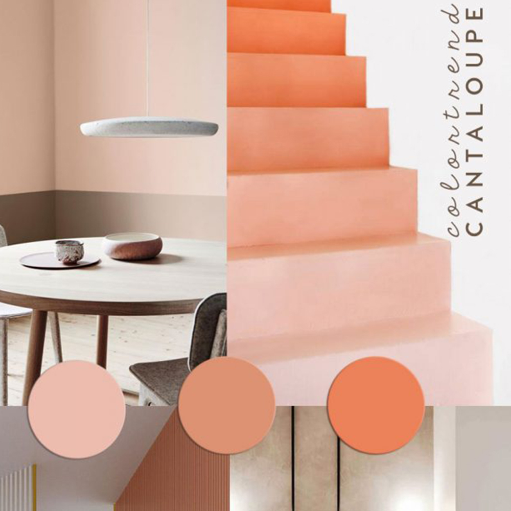 cantaloupe-orange.jpg cantaloupe-orange.jpg