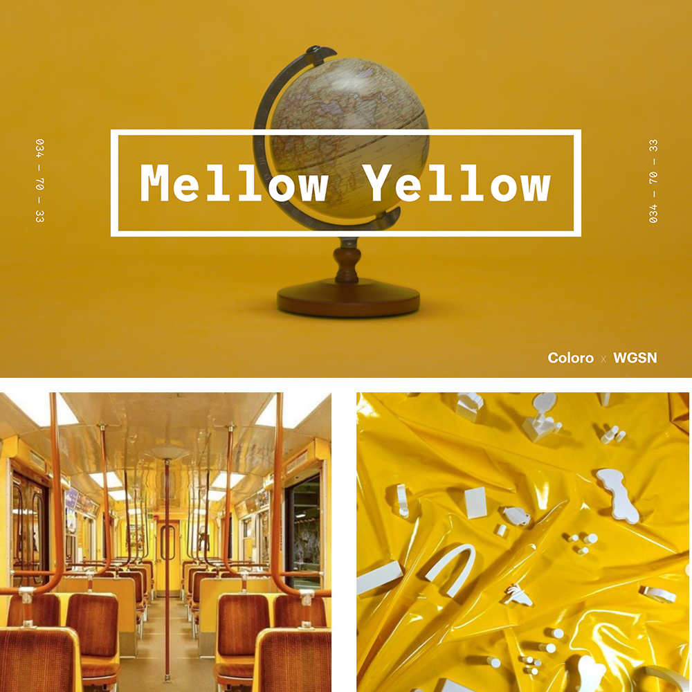 Mellow Yellow.jpg Mellow Yellow.jpg