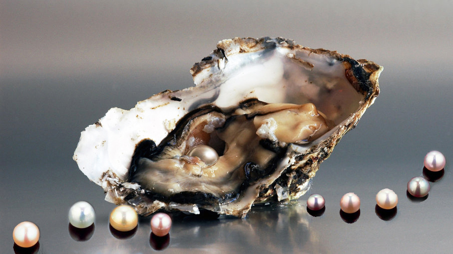 Pearl OK 1.jpg Pearl OK 1.jpg