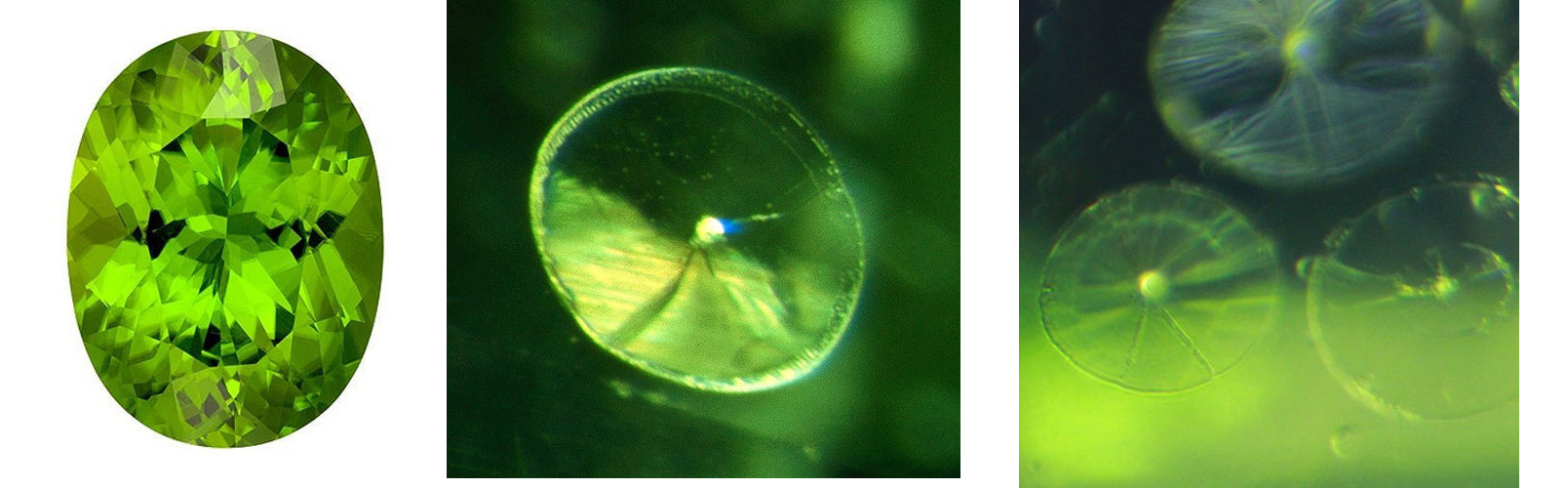 Peridot OK 3.jpg Peridot OK 3.jpg