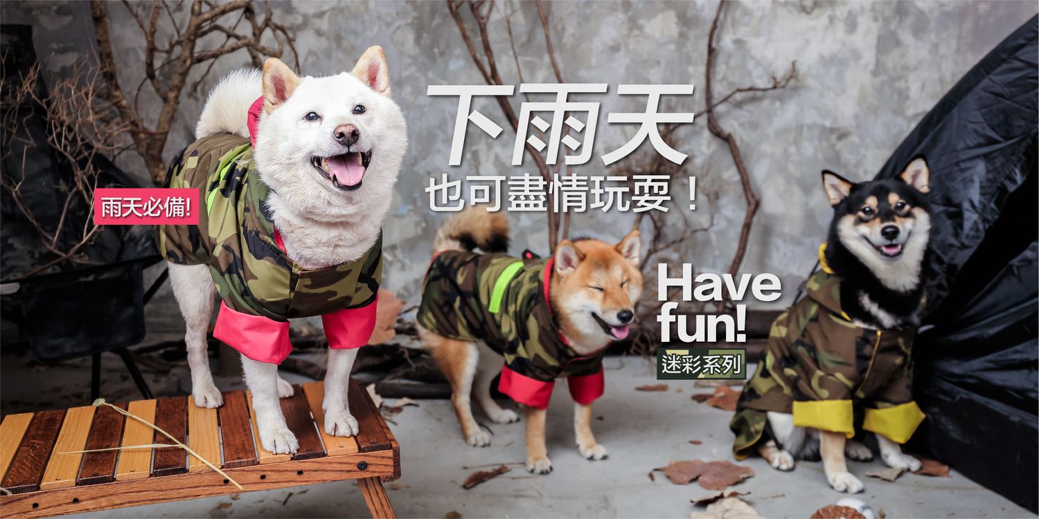 https://cdn.store-assets.com/s/287746/f/4636719.jpeg