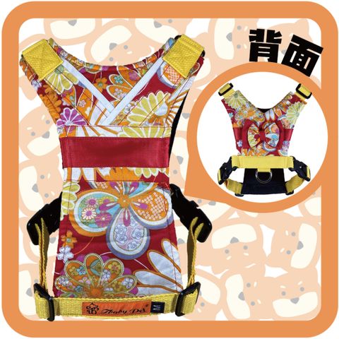 彩花菊