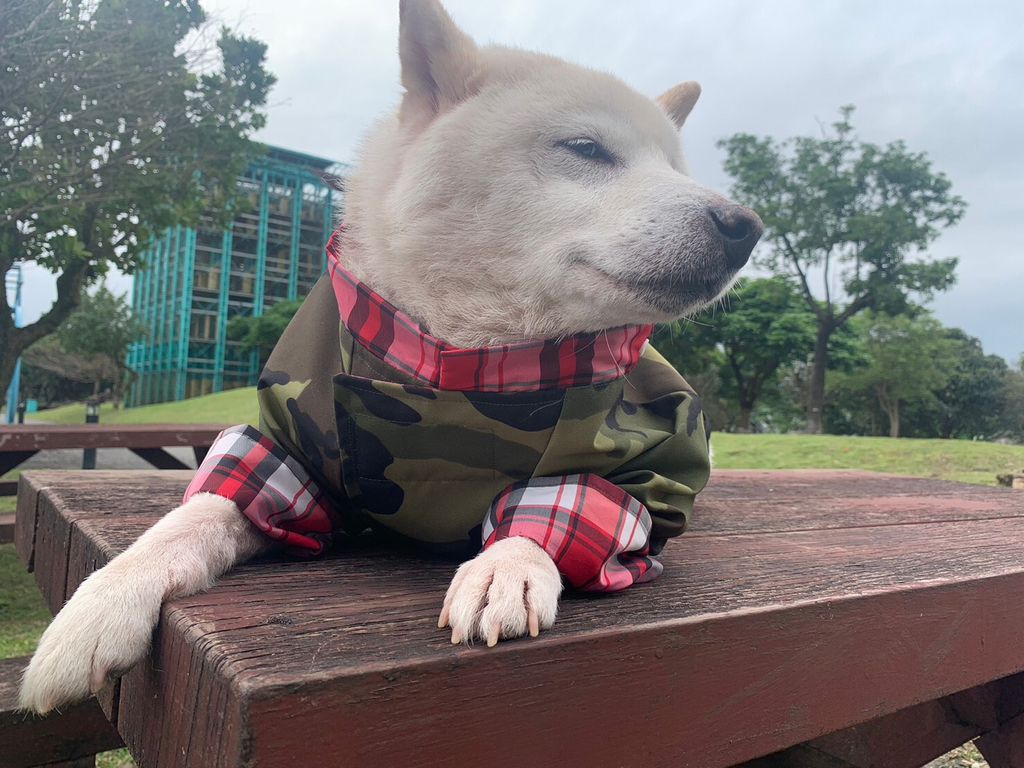 LINE_ALBUM_雨衣_230323_29