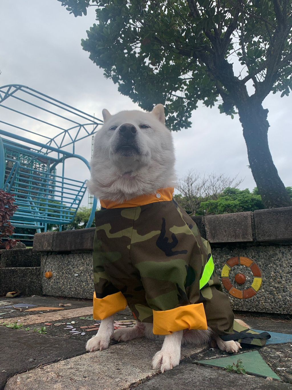 LINE_ALBUM_雨衣_230323_20