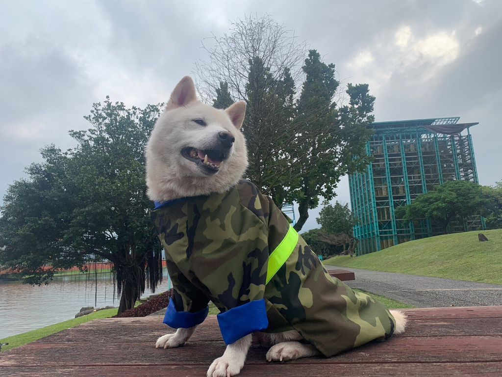 LINE_ALBUM_雨衣_230323_17