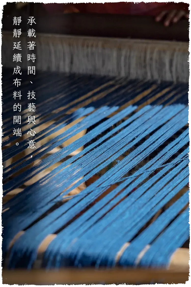 棉花圖文-毛邊-06