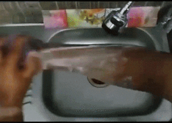 4016605.gif 4016605.gif